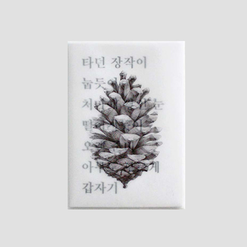 3차입고*[소언] Plant post card - cone