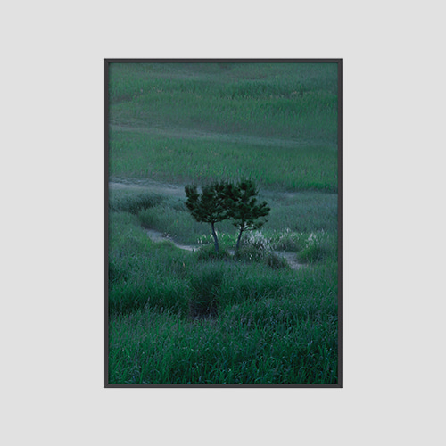 팝업* [AOBD] forest poster